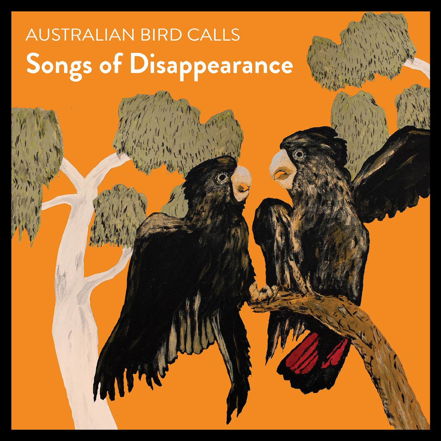 Songs of Disappearance Birds